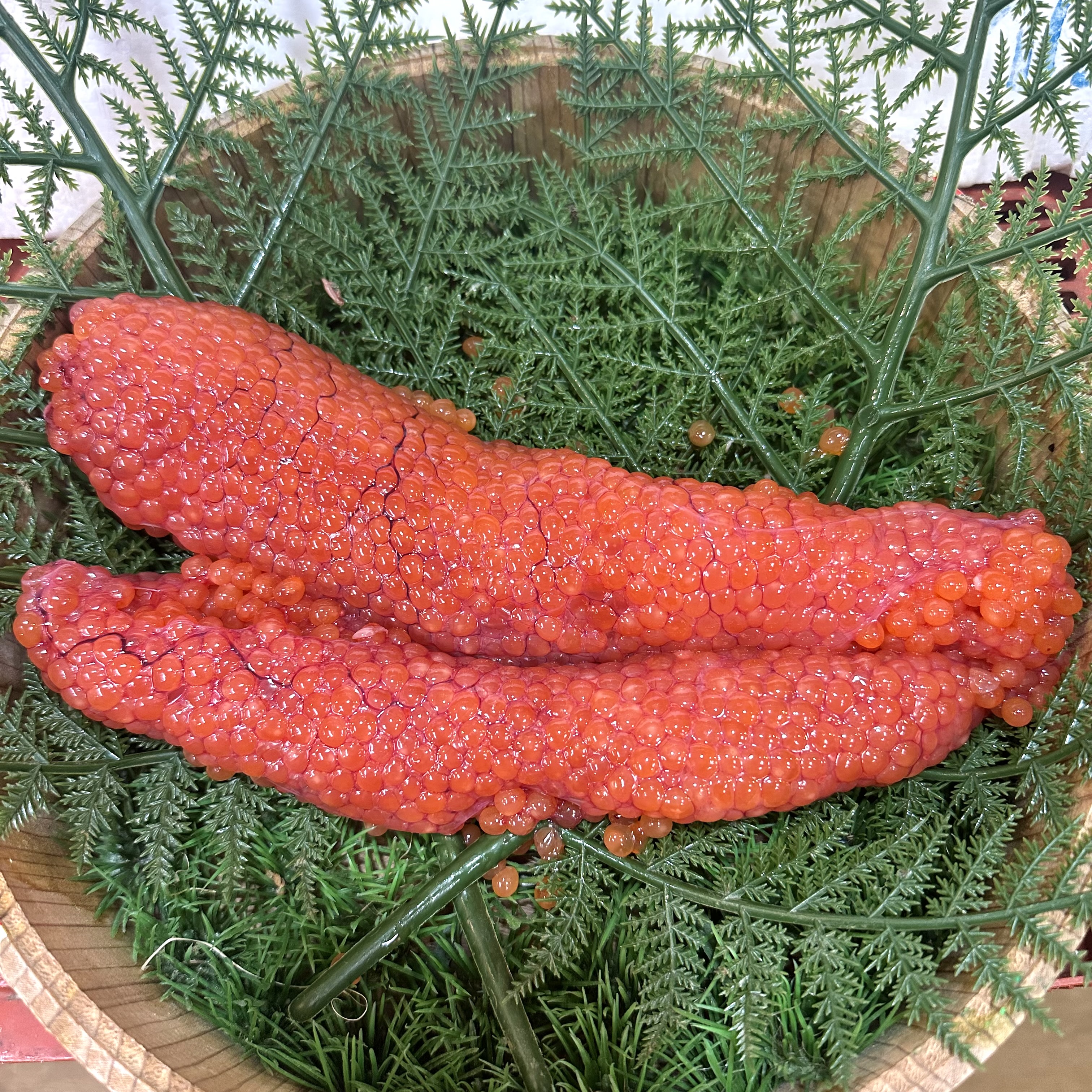 生筋子(大粒)1本250g前後
